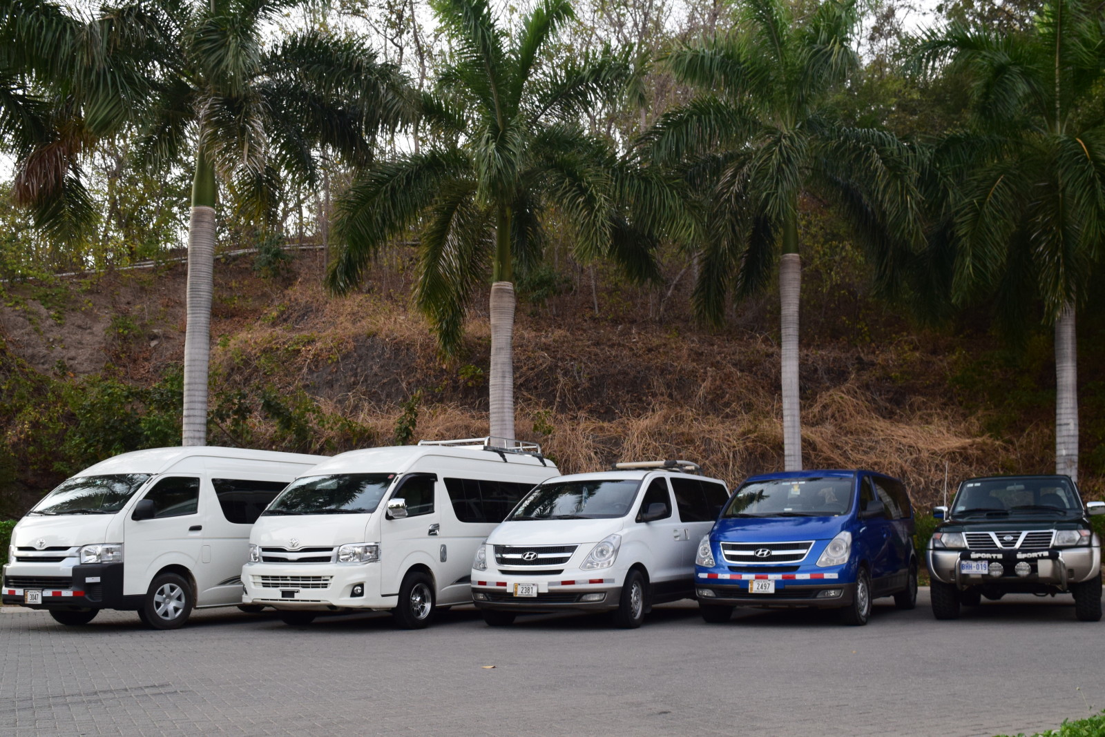 Best responsible reliable private transport in Costa Rica