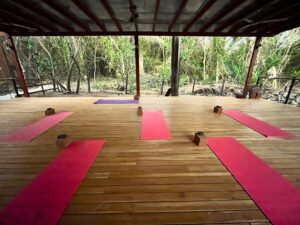 Yoga shala at Guiones Nosara Surf & Yoga Camp Yoga shala at Guiones Nosara Surf & Yoga Camp