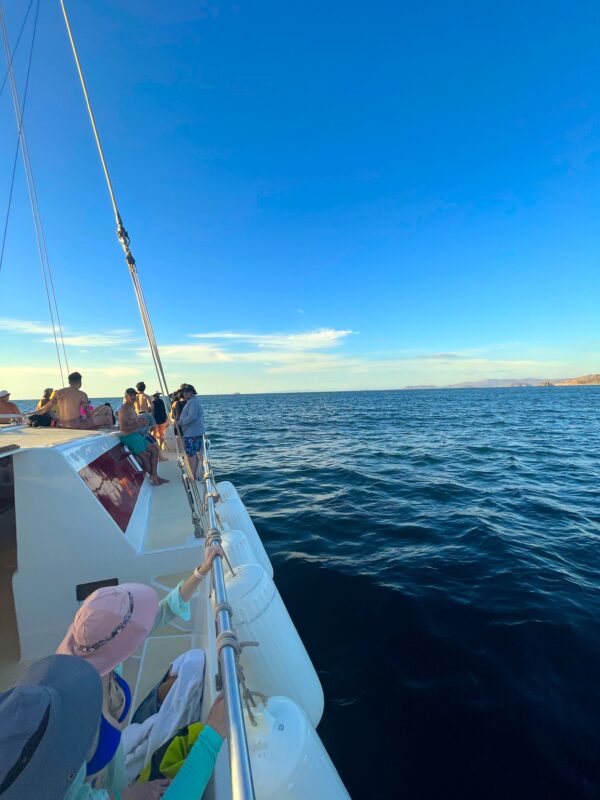 Costa Rican Catamaran Tamarindo