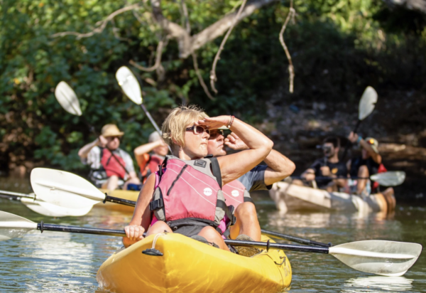 Samara Mangrove Kayak Tour Group