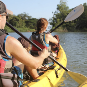 Samara Mangrove Kayak Tour, Tandem Kayak