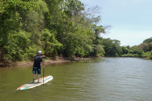 Samara Mangrove SUP Adventure