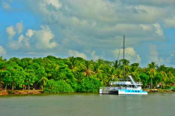 Manuel Antonio Catamaran nature tour