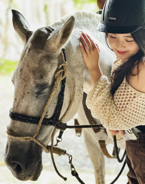 La Fortuna horseback riding tour compassion