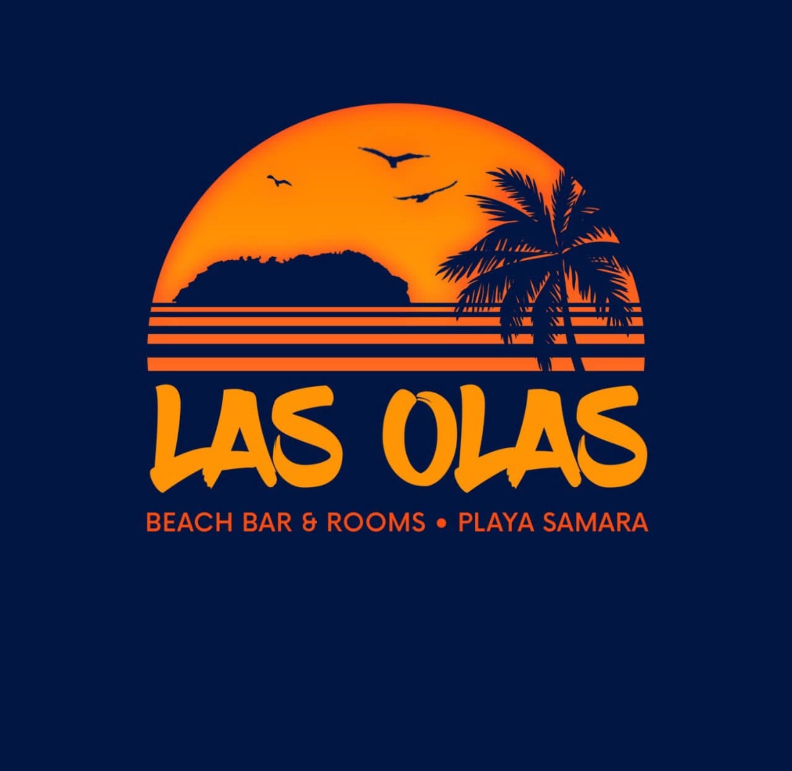 Beach Bar Las Olas Samara