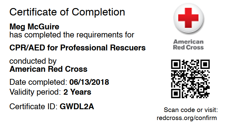 Meg CPR and AED for professional rescuers 2018
