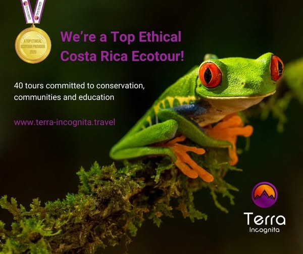 Costa Rica Surf Trip! Recognized as top Ethical Costa Rica Ecotour Company 2020